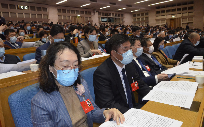 代表們認(rèn)真聽會。 張代生攝
