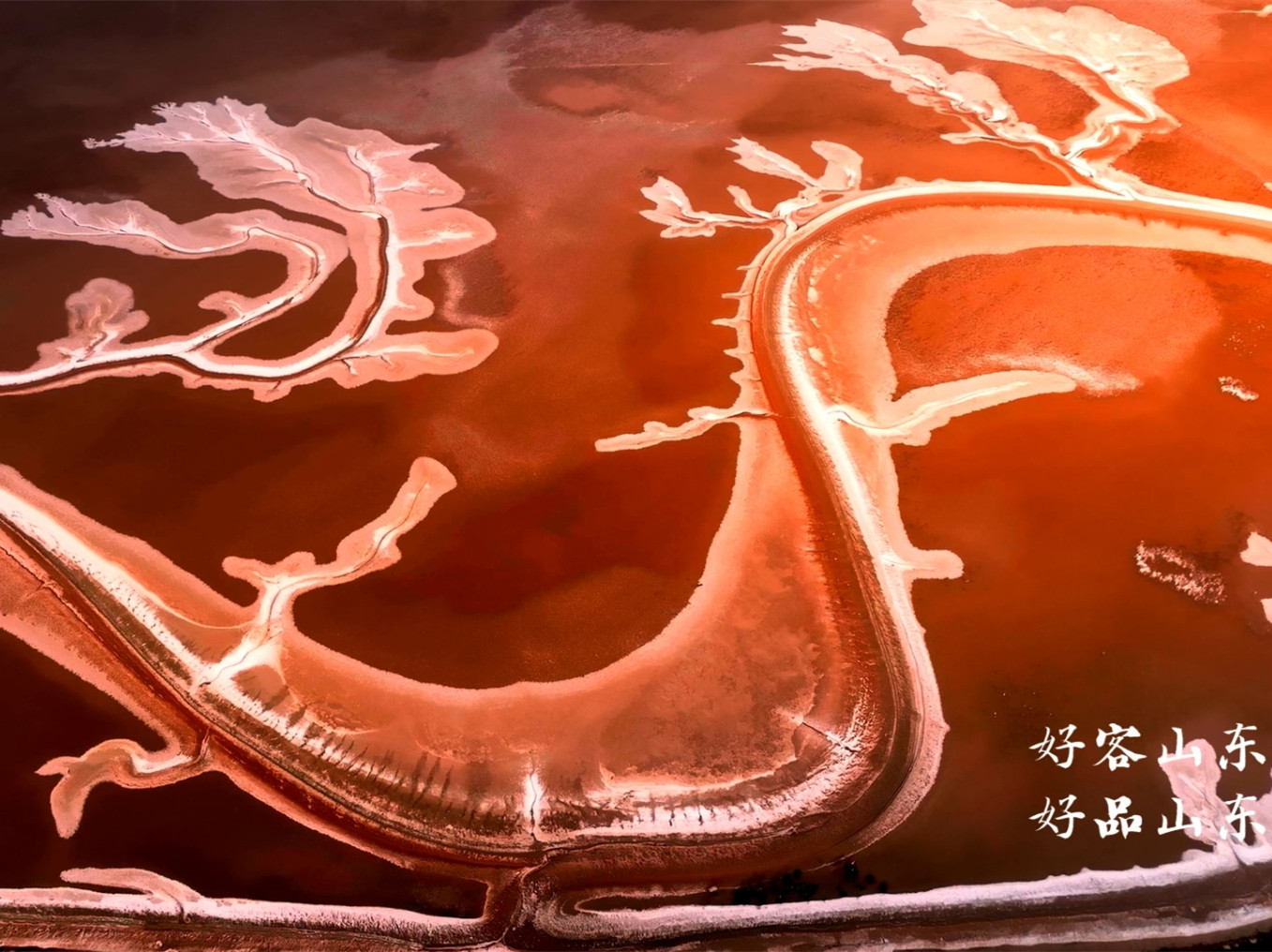 相約北京，品味齊魯 共賞好客山東，好品山東