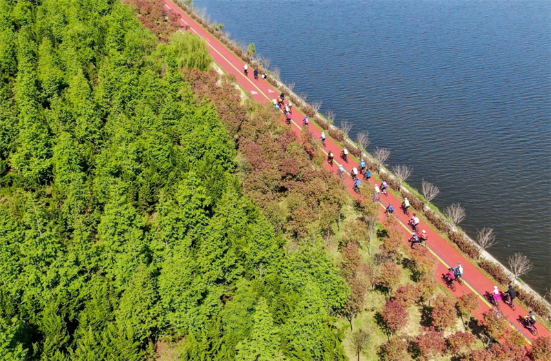 陽光海岸綠道上，騎行愛好者全副武裝出門“追風(fēng)”。李大偉攝