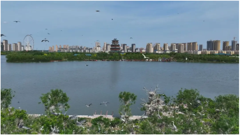 文亭湖美景。