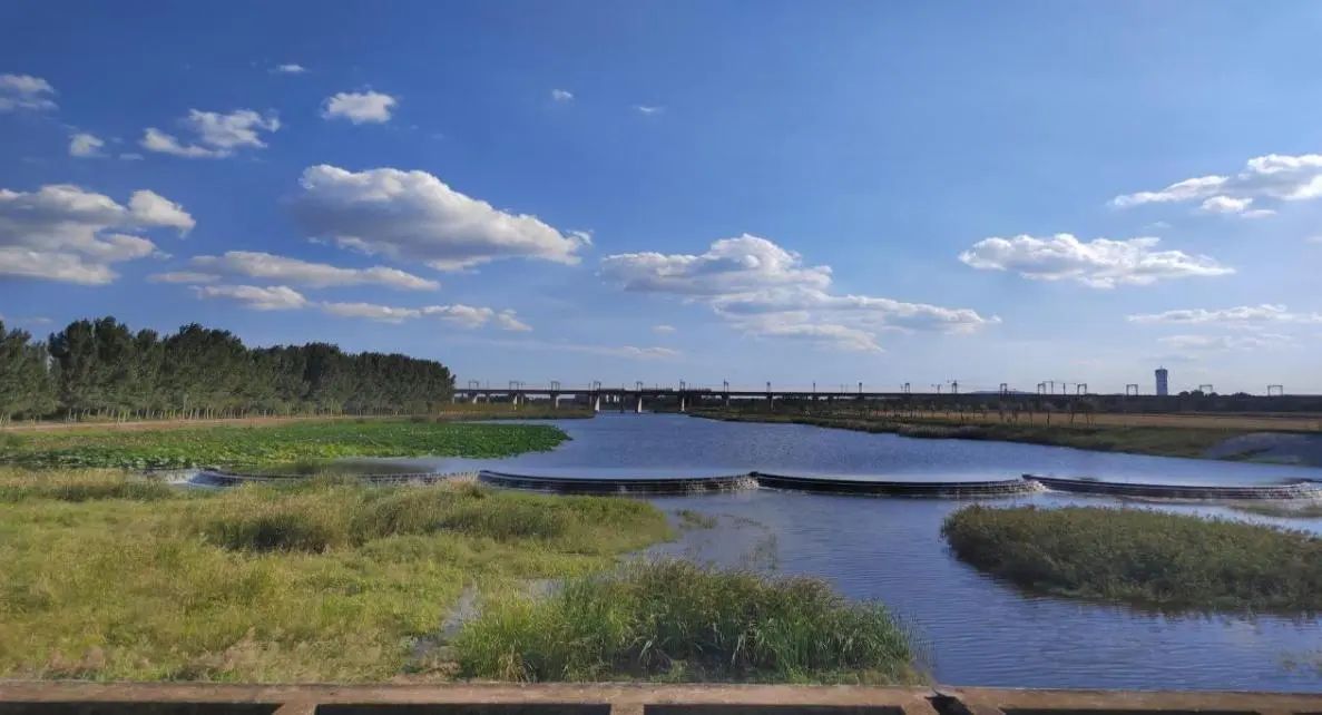 海子河（濕地公園段）美景。