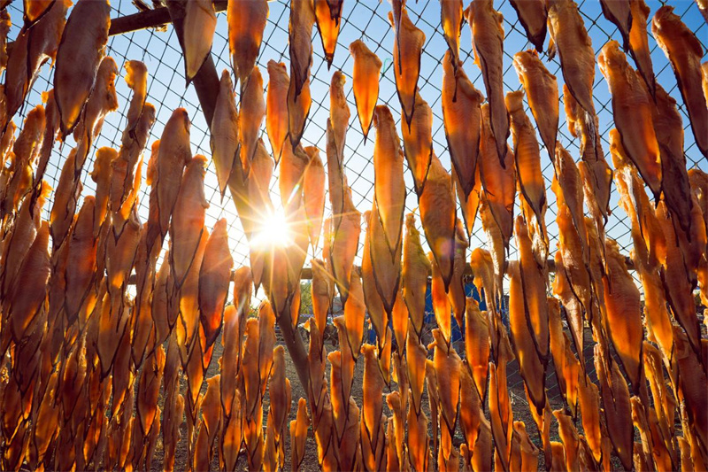 晾曬場(chǎng)上，一排排曬滿(mǎn)魚(yú)干的漁網(wǎng)、竹排，整齊統(tǒng)一。宋年升攝