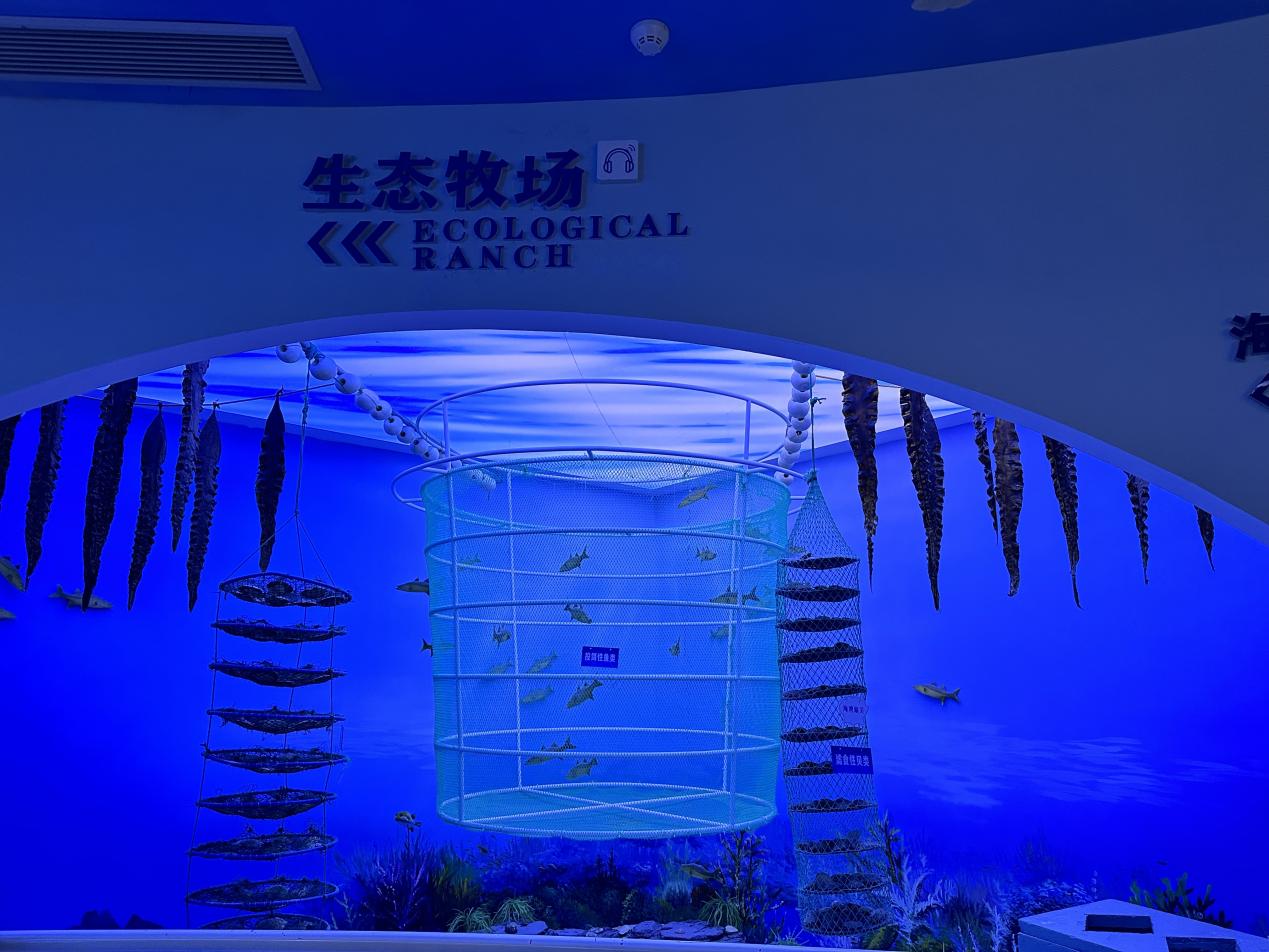 生態(tài)牧場(chǎng)展示 王朔攝