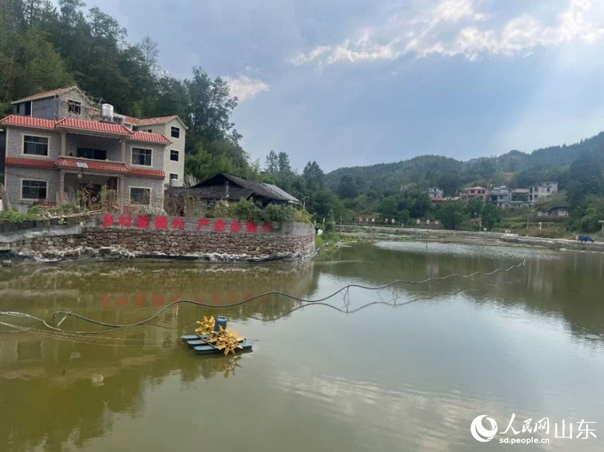桃坡村“東營·酉陽桃花源高山大閘蟹”養(yǎng)殖基地。人民網(wǎng) 顧玉雪攝