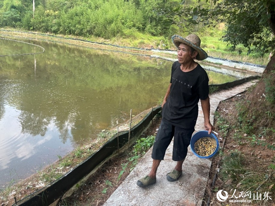 桃坡村村民秦智路在蟹塘巡視和投喂飼料。人民網(wǎng) 顧玉雪攝