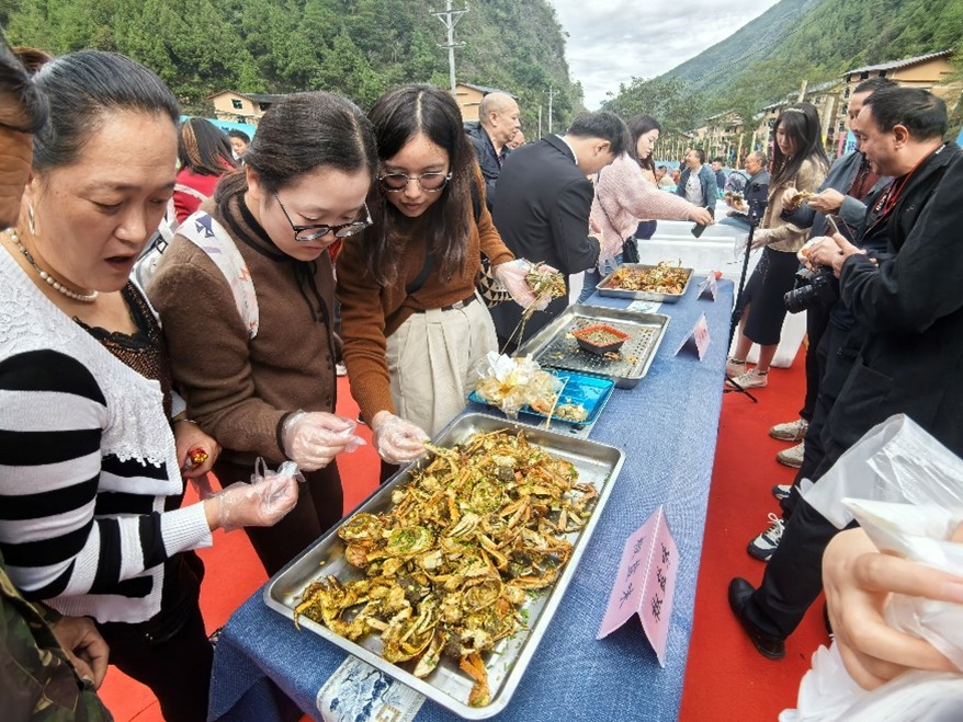 10月23日，桃花源高山大閘蟹品蟹節(jié)。耿琳攝
