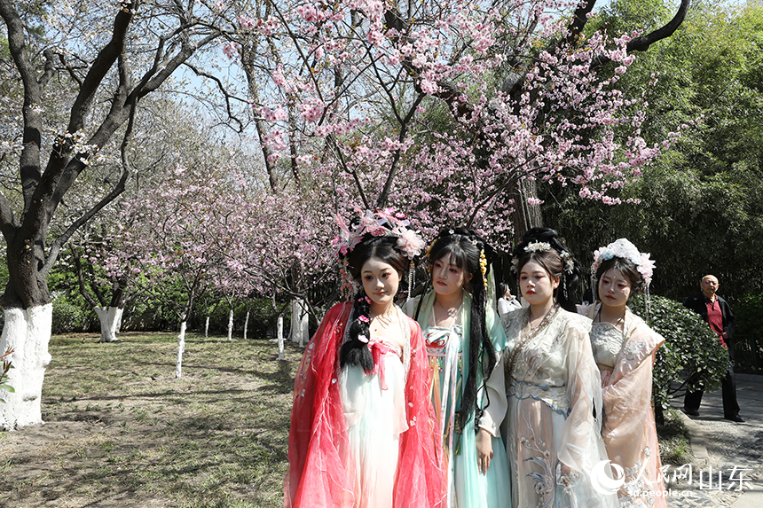游客們身著漢服，在櫻花樹(shù)下打卡拍照。人民網(wǎng)記者 劉祺攝