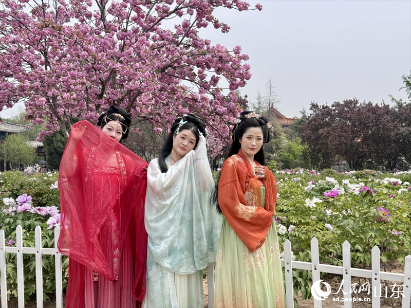 身穿漢服的游客們正在牡丹花前合影留念。人民網(wǎng) 鄭昕橋攝