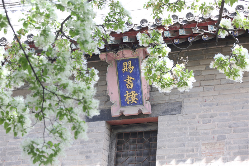 4月13日，在山東鄒城孟府景區(qū)拍攝的流蘇花。