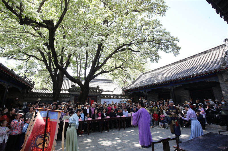 4月13日，在山東鄒城孟府景區(qū)，文藝工作者在盛開(kāi)的流蘇花下表演音樂(lè)劇。
