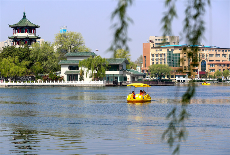 4月20日，游客在山東青島萊西市月湖公園泛舟游玩。張進剛攝
