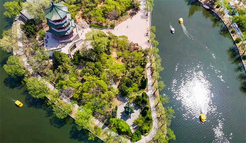 4月20日，游客在山東青島萊西市月湖公園泛舟游玩。張進剛攝