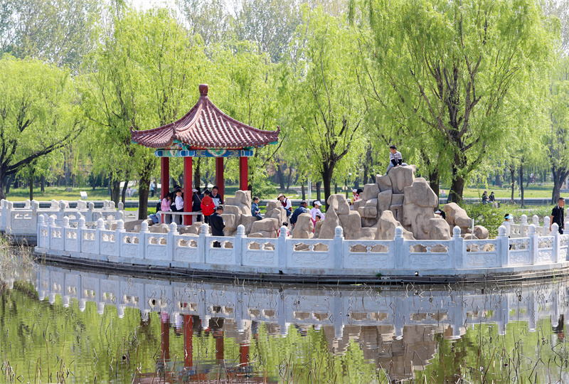 4月20日，游客在山東青島萊西市月湖公園踏青游玩。張進剛攝