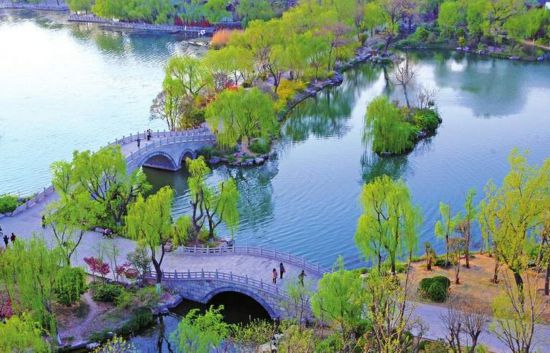一帶一核六區(qū)六十景！大明湖“上新”，荷柳新畫卷令人期待