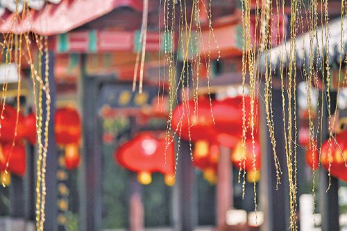 春意濃濃!五龍?zhí)杜狭鴺涿靶卵?></p>
<p style=